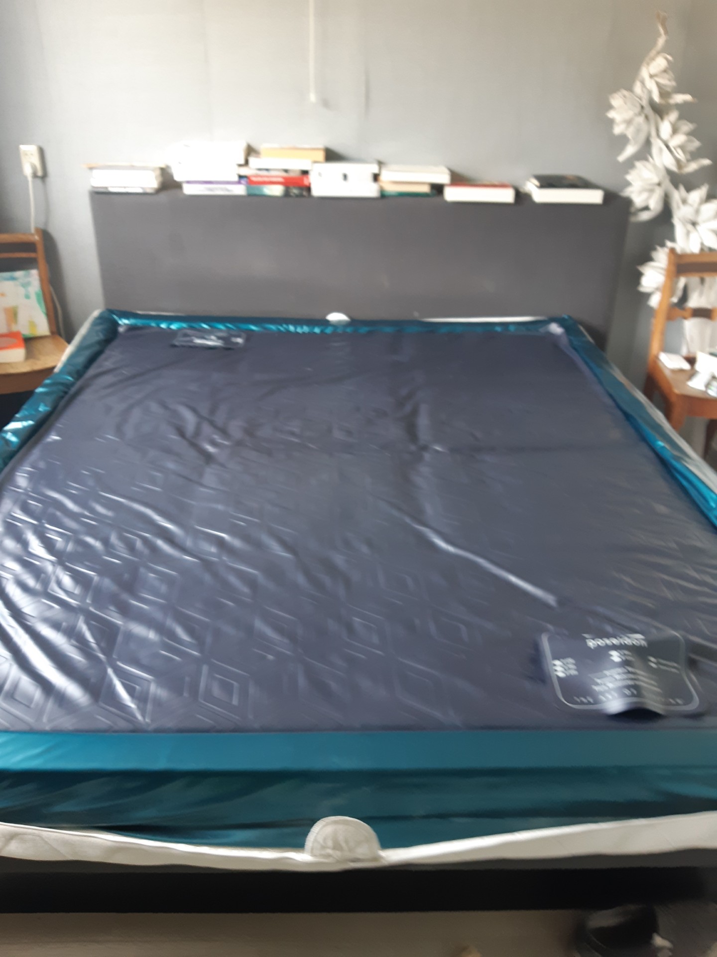 Waterbed 1